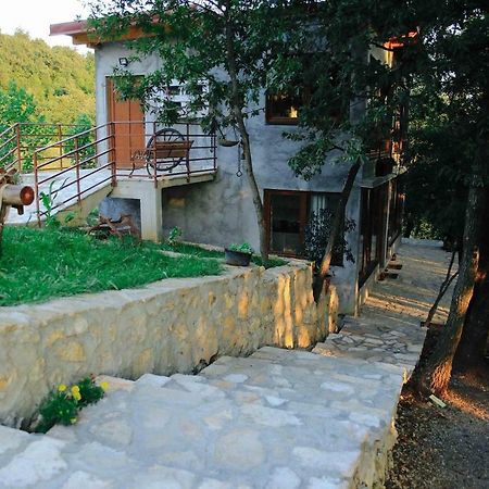 Danilovgrad Donkey Farm Martinici - Farma Magaraca Martinici B&B 외부 사진