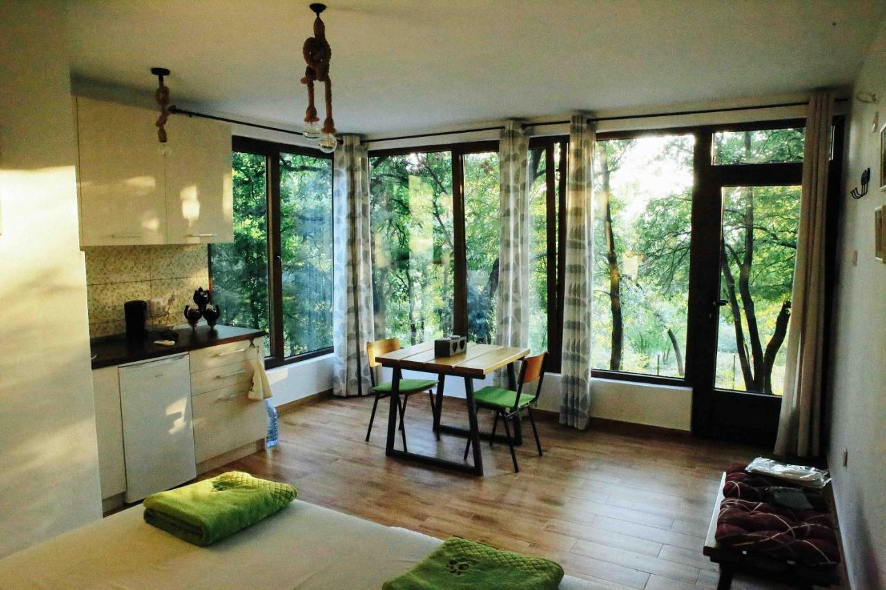 Danilovgrad Donkey Farm Martinici - Farma Magaraca Martinici B&B 외부 사진