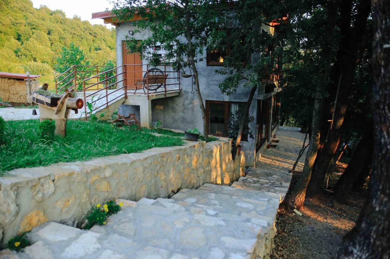 Danilovgrad Donkey Farm Martinici - Farma Magaraca Martinici B&B 외부 사진