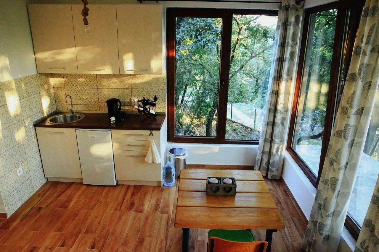 Danilovgrad Donkey Farm Martinici - Farma Magaraca Martinici B&B 외부 사진